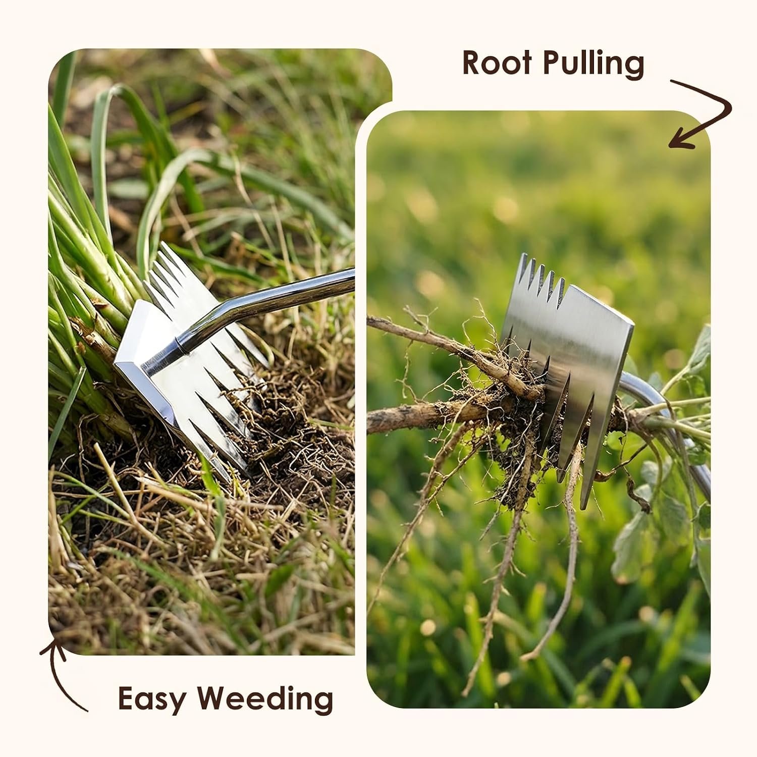 Weed Puller Tool, 2026 Upgraded Portable Manual Weeding Tools Gardening | 6 Teeth Dual Head, Stainless Steel, Durable Build, Hand Weeder Rake, Garden Weed Pulling Tool for Backyard Yard Farm Planting - Image 2